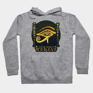 Golden Eye of Horus Hoodie